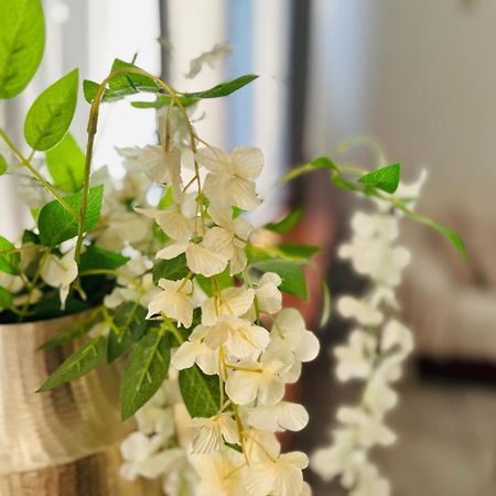 아테네 Mary Cozy House 아파트 외부 사진